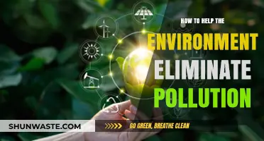 Sustainable Steps: Practical Ways to Combat Pollution and Protect Our Planet