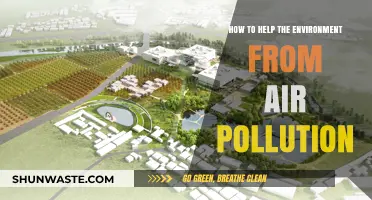 Combat Air Pollution: Simple Steps to Protect Our Environment Today