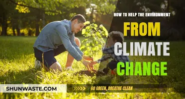 Sustainable Steps: Practical Ways to Combat Climate Change and Protect Our Planet