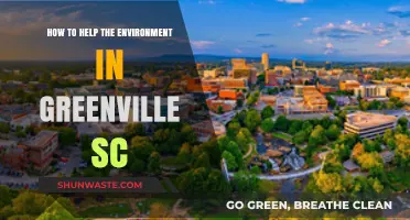 Sustainable Living in Greenville: Simple Steps to Protect Our Environment
