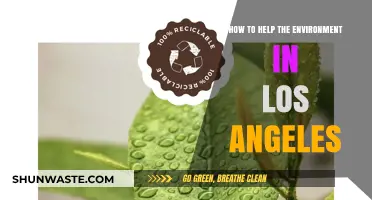Sustainable LA: Practical Ways to Protect Los Angeles' Environment