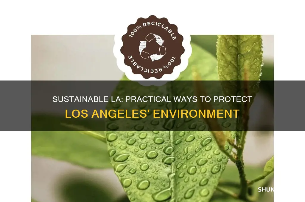 how to help the environment in los angeles