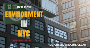 Sustainable NYC: Simple Steps to Protect Our Urban Environment