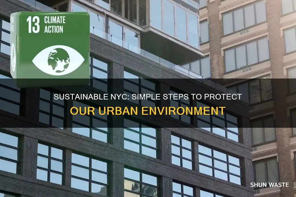 how to help the environment in nyc