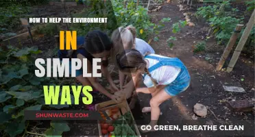 Simple Eco-Friendly Habits: Easy Ways to Protect Our Planet Daily