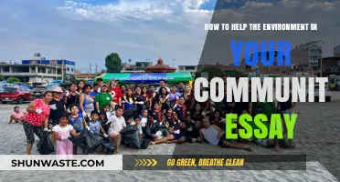 Empowering Local Action: Simple Steps to Protect Your Community's Environment