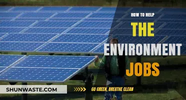 Sustainable Careers: How to Help the Environment Through Green Jobs