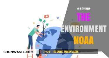 NOAA's Guide: Simple Steps to Protect Our Environment Effectively