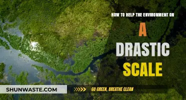 Transforming Our Planet: Radical Strategies for Global Environmental Restoration