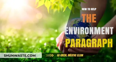 Simple Eco-Friendly Steps to Protect and Preserve Our Planet