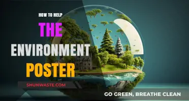 Creative Eco-Friendly Poster Ideas to Inspire Environmental Action Today