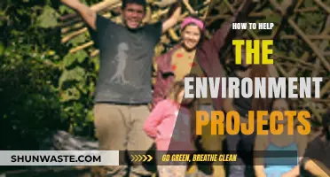 Sustainable Steps: Empowering Environmental Projects for a Greener Future