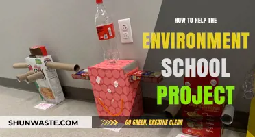 Eco-Friendly School Projects: Simple Ways to Help the Environment