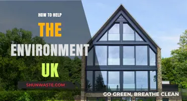 Sustainable Living: Practical Ways to Protect the UK Environment