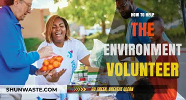 Volunteer for a Greener Future: Simple Ways to Help the Environment