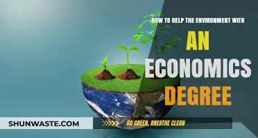 Economics Degree: Your Tool to Drive Environmental Sustainability