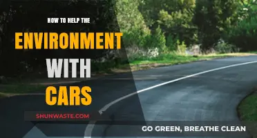 Eco-Friendly Driving: Simple Car Tips to Protect Our Planet