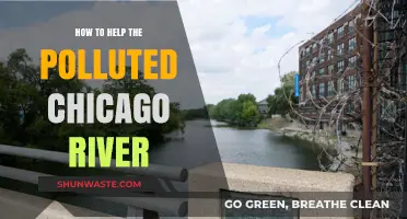 Reviving Chicago River: Actionable Steps to Combat Pollution