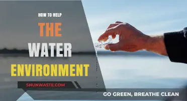 Protecting Our Water Environment: Simple Steps for a Sustainable Future