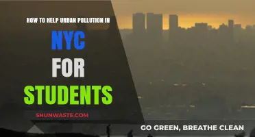 Students' Guide to Fighting NYC Urban Pollution