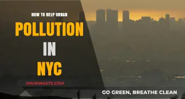Urban Pollution: NYC's Fight for Clean Air