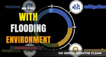 Effective Strategies to Mitigate Flooding and Protect Our Environment