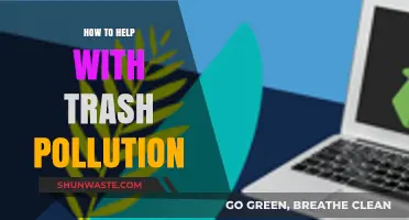 Trash Pollution: Solutions for a Cleaner Planet