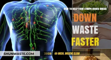 Boost Lymphatic Health: Speed Up Waste Breakdown Naturally