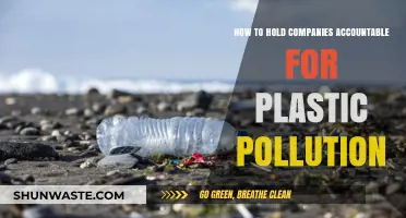 Cracking Down on Corporate Plastic Polluters