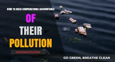 Corporations and Pollution: Strategies for Public Accountability