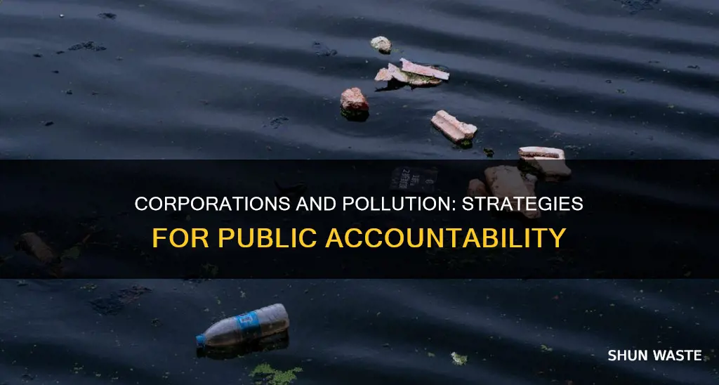 how to hold corporations accountable of their pollution