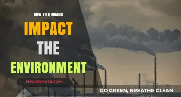 Human Actions, Environmental Consequences: Understanding Our Impact on the Planet