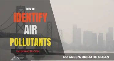 Air Pollutants: Detecting the Invisible Hazards Around Us