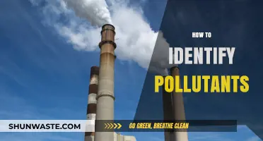 Spotting Pollutants: A Guide to Identifying Contaminants