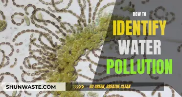 Unveiling the Signs: A Guide to Spotting Water Pollution