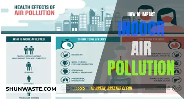 Improving Indoor Air Quality: Strategies to Reduce Pollution