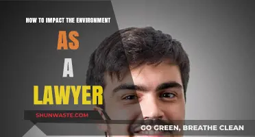Empowering Legal Advocacy: How Lawyers Can Drive Environmental Change