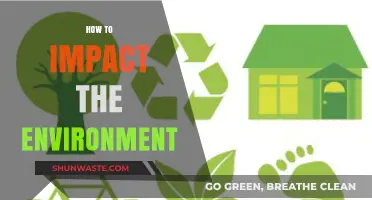 Sustainable Steps: How to Positively Impact the Environment Daily
