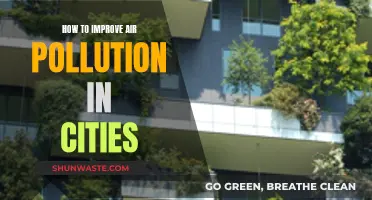 Improving Air Quality in Cities: Strategies for Success