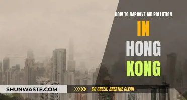 Improving Hong Kong's Air Quality: Strategies for Change