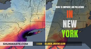 Improving Air Quality in New York City
