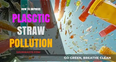 Reducing Plastic Straw Pollution: Strategies for a Greener Future