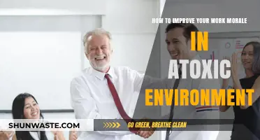 Boost Your Work Morale in Toxic Environments: Strategies for Resilience
