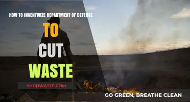 Streamlining Defense: Strategies to Incentivize DoD Waste Reduction