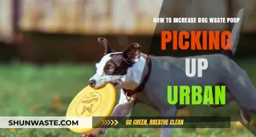 Urban Pet Etiquette: Boosting Dog Waste Cleanup in City Spaces