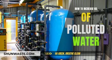 Purifying Polluted Water: Effective Methods to Increase Quality and Weight