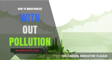 Green Industrialization: A Sustainable Future Without Pollution