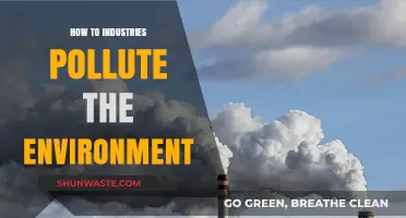 Industries' Environmental Impact: Pollution and its Causes