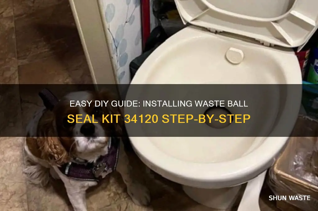 how to install waste ball seal kit 34120