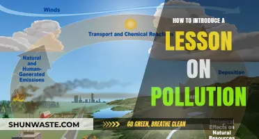 Understanding Pollution: A Comprehensive Lesson Introduction